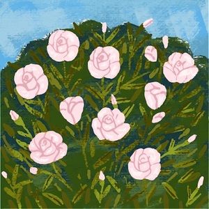 Meet your Posher, Kylee